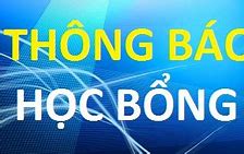 Cách Đạt Học Bổng Vallet 2024 Belgie Rok