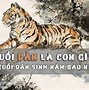 Tuổi Dần Nên Sinh Con Tuổi Gì